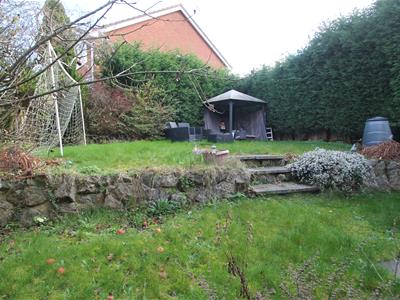 Picture 27